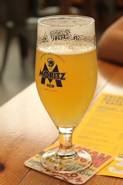 Visita a la fàbrica de cerveza Moritz